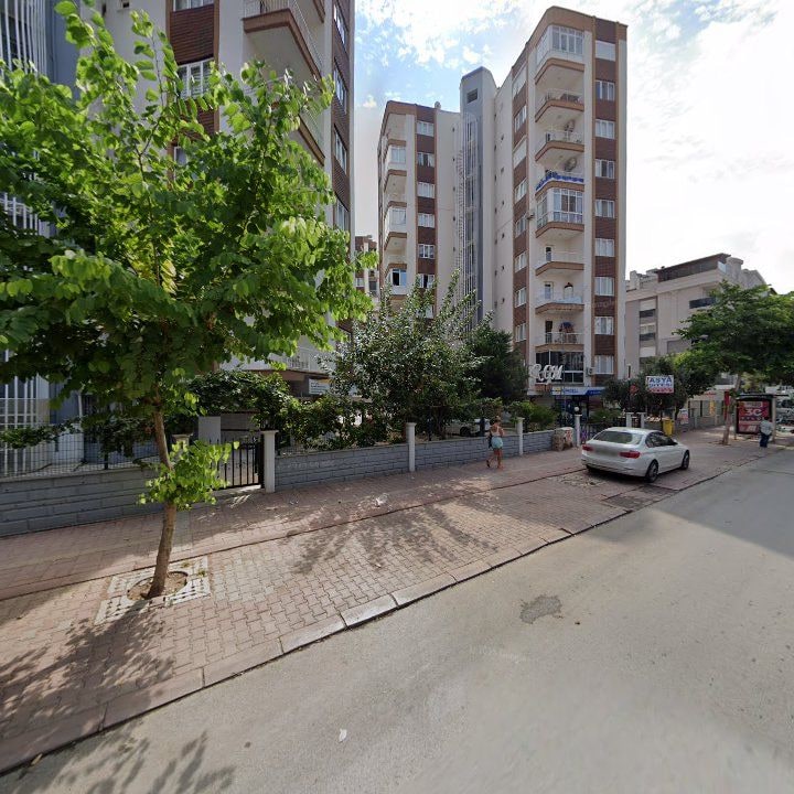 Fotoğraf 10