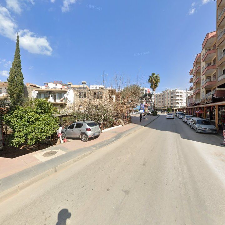 Fotoğraf 10