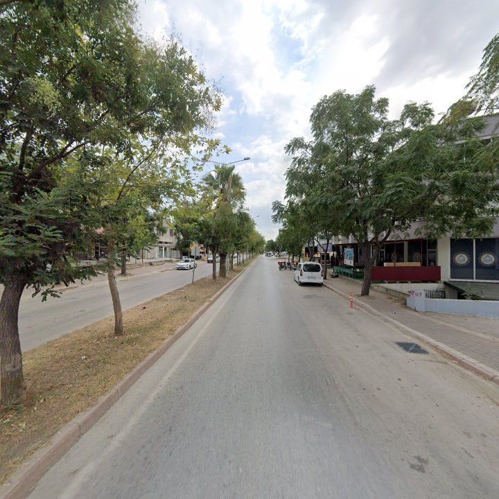 Fotoğraf 9