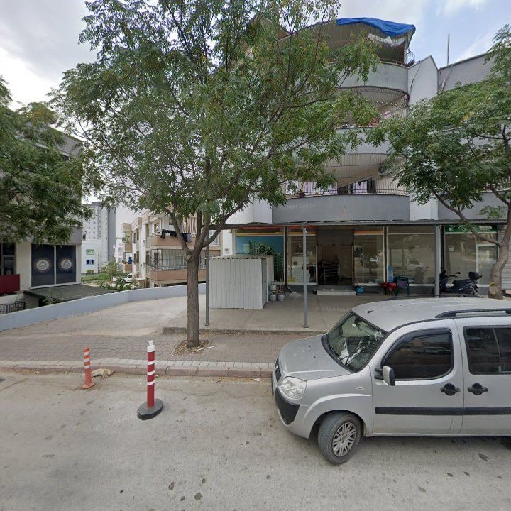 Fotoğraf 6