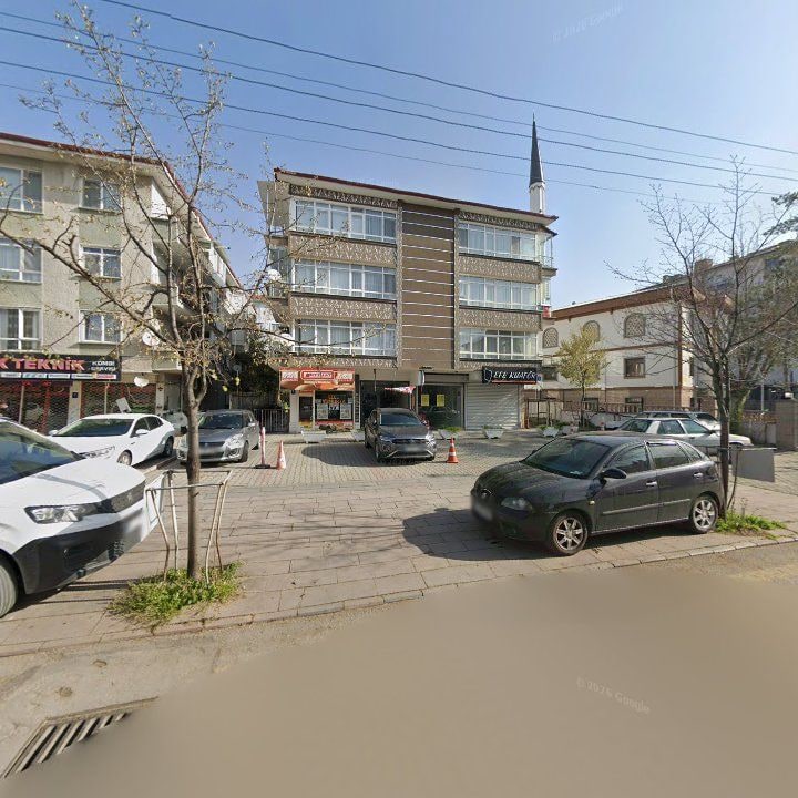 Fotoğraf 8