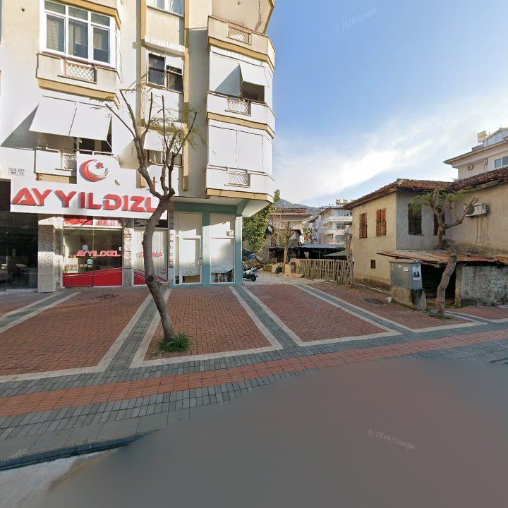 Fotoğraf 8