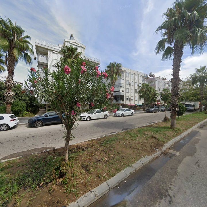 Fotoğraf 8