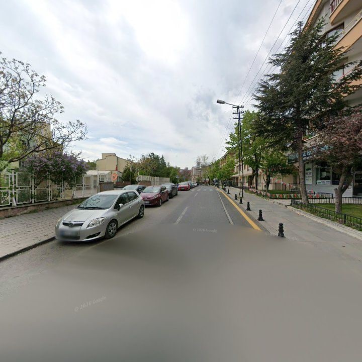 Fotoğraf 9