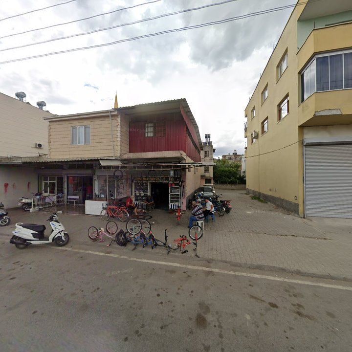 Fotoğraf 3