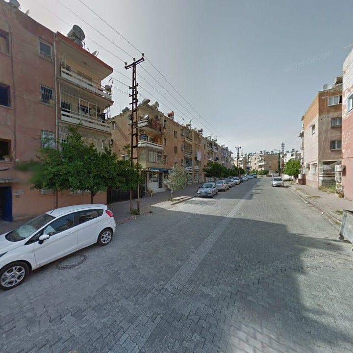 Fotoğraf 8