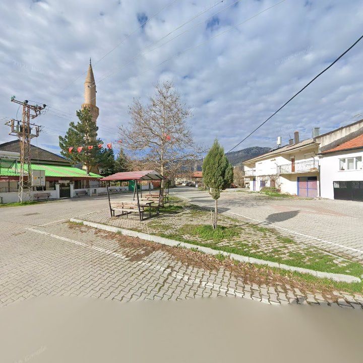 Fotoğraf 3