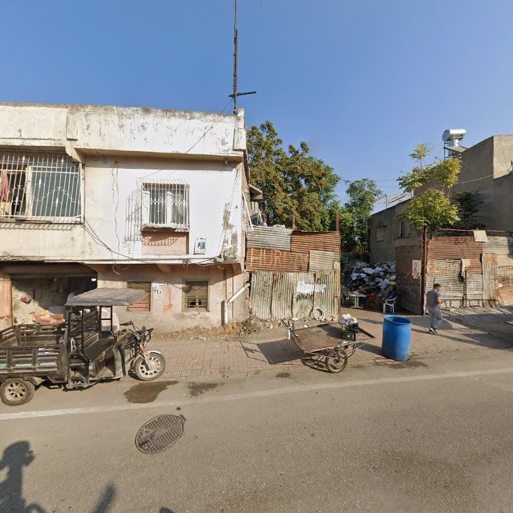 Fotoğraf 9
