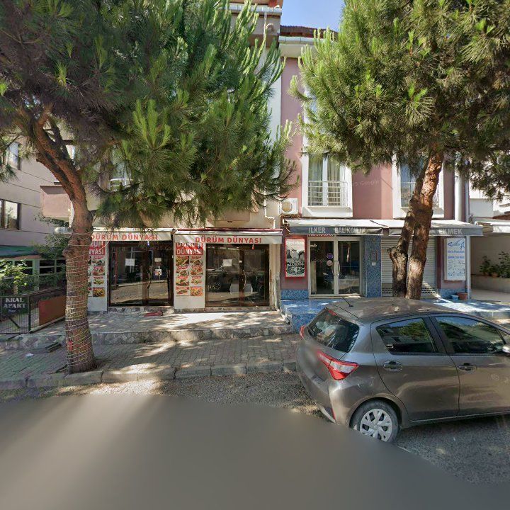 Fotoğraf 10