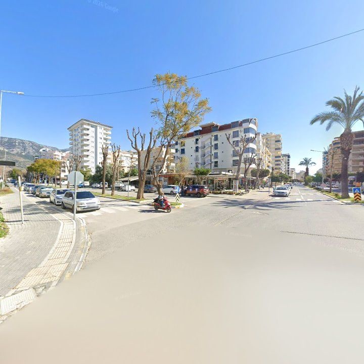 Fotoğraf 8