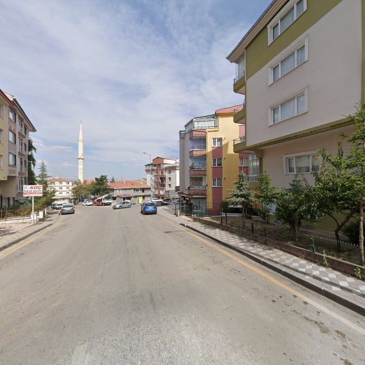 Fotoğraf 7