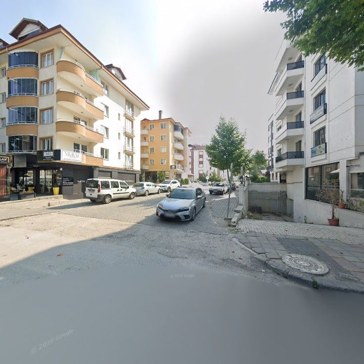 Fotoğraf 12