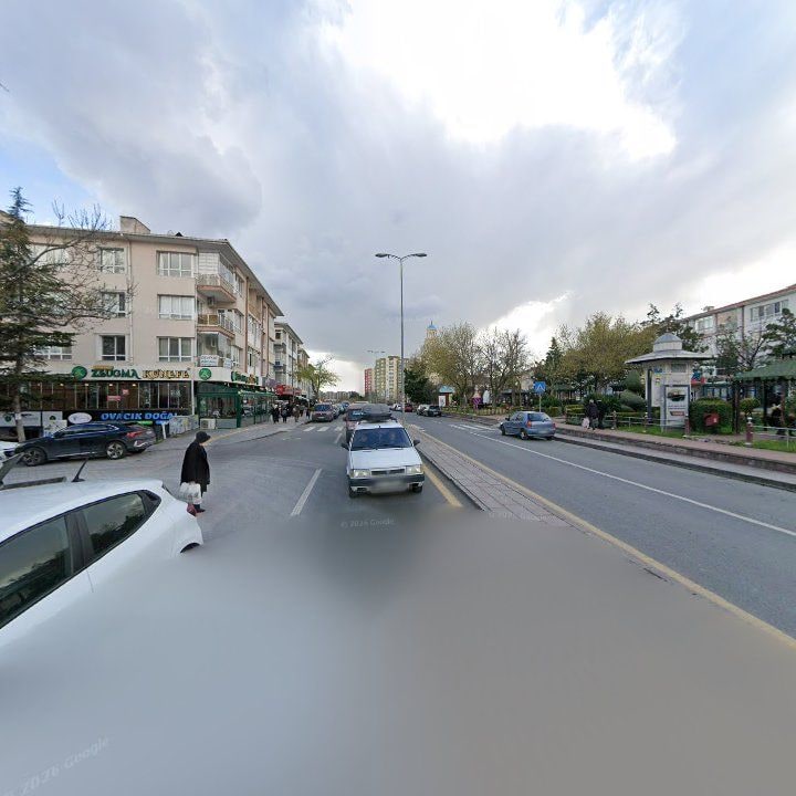 Fotoğraf 11
