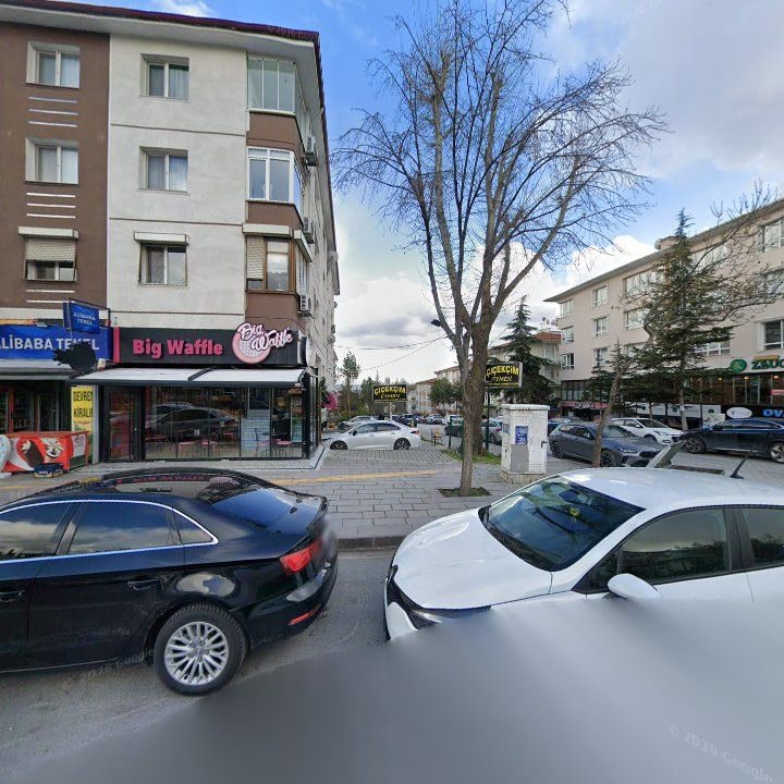 Fotoğraf 10