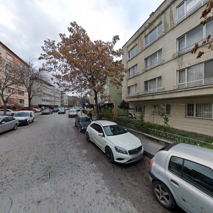 Fotoğraf 11