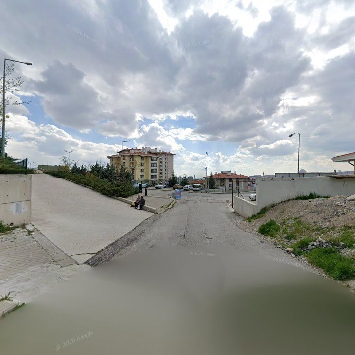 Fotoğraf 9