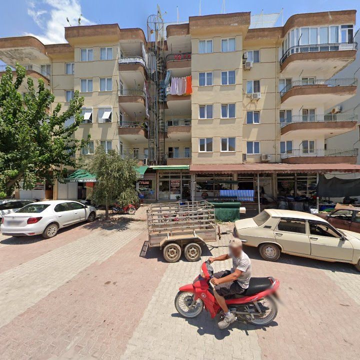 Fotoğraf 3