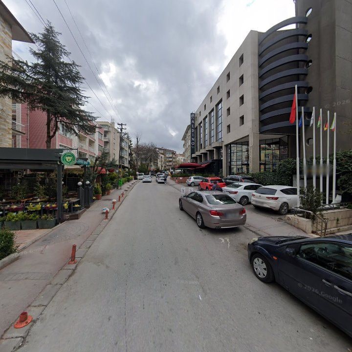 Fotoğraf 10