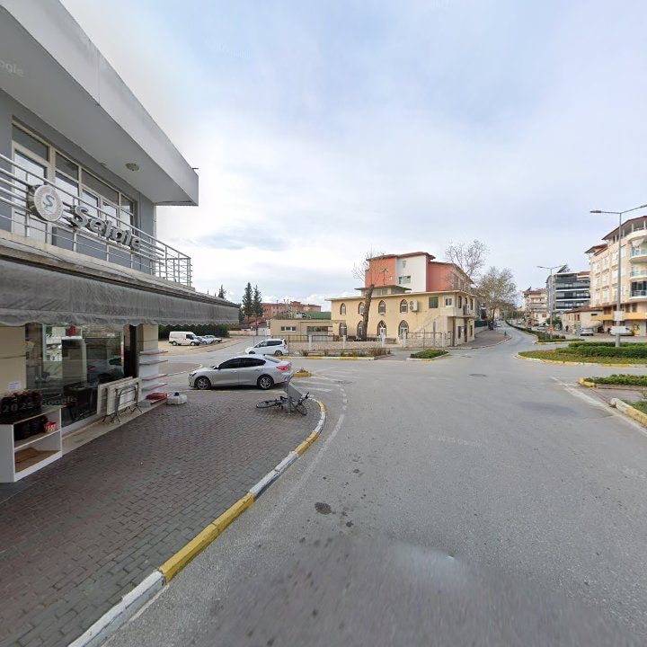 Fotoğraf 7