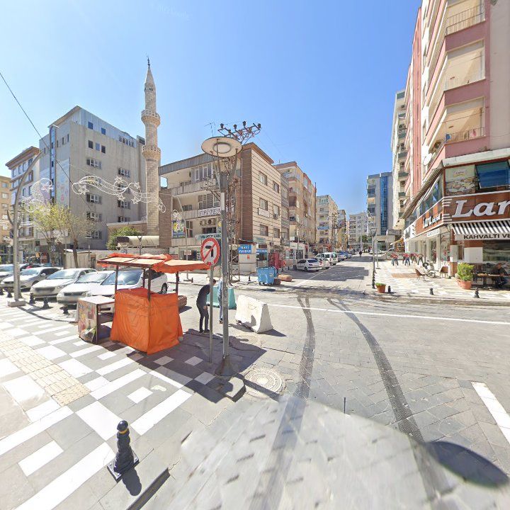 Fotoğraf 8