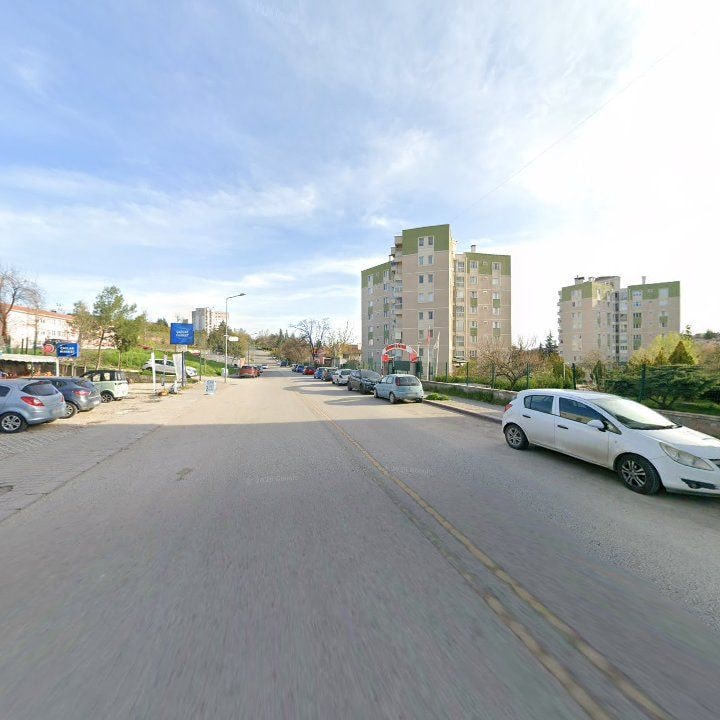 Fotoğraf 12