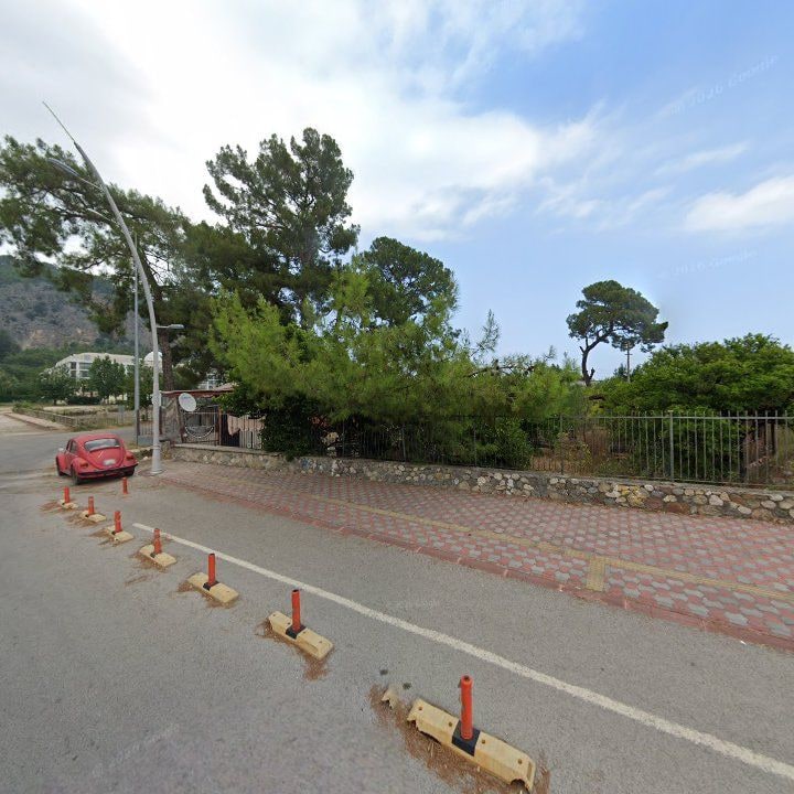 Fotoğraf 12