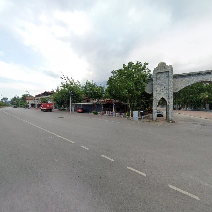 Fotoğraf 10