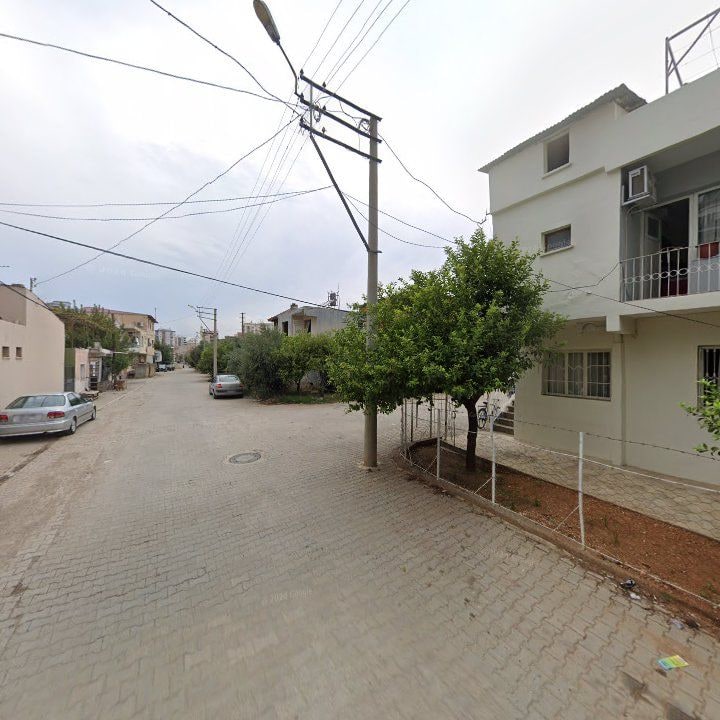Fotoğraf 7