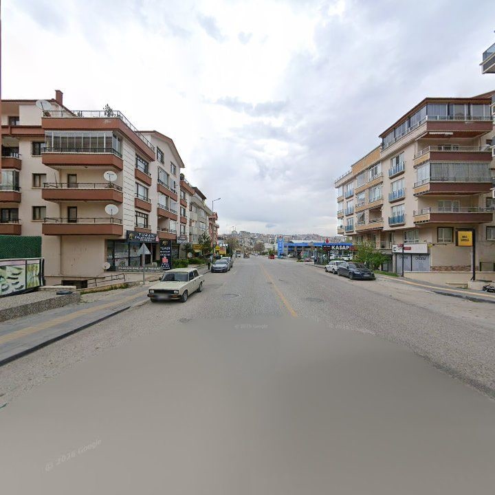 Fotoğraf 6