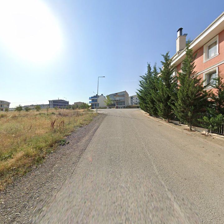 Fotoğraf 10