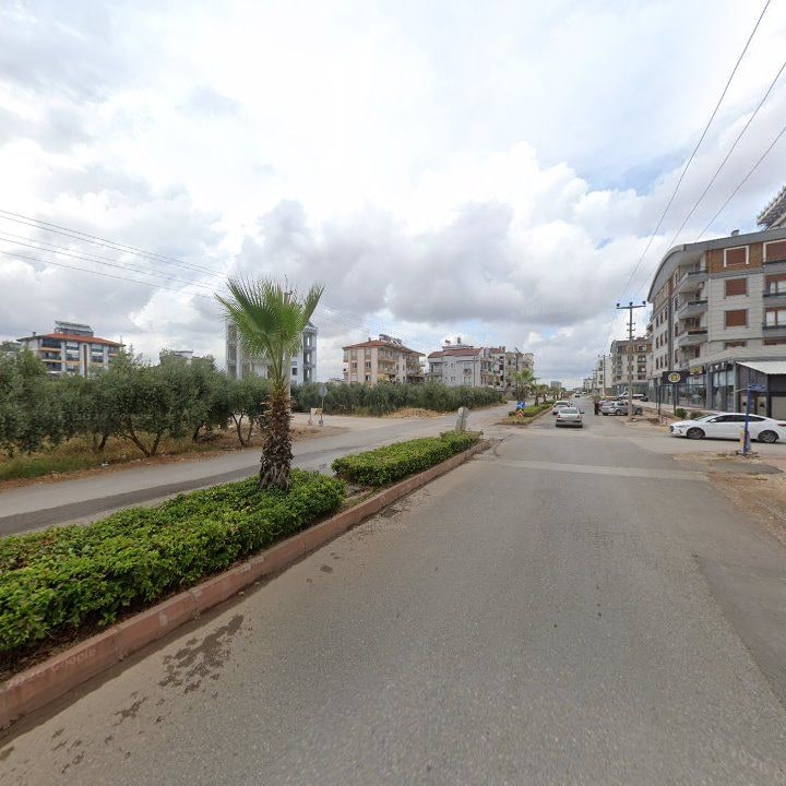 Fotoğraf 10