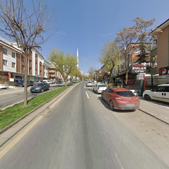 Fotoğraf 10