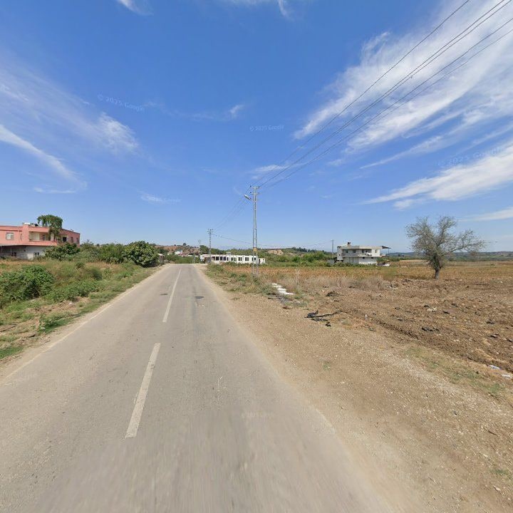 Fotoğraf 7