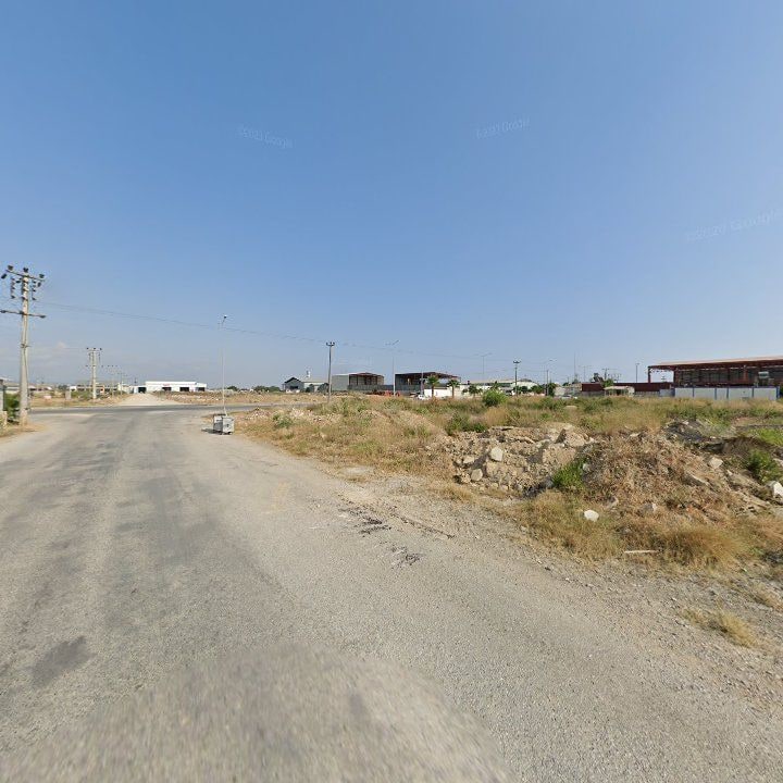 Fotoğraf 6