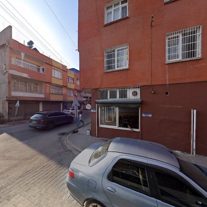 Fotoğraf 7