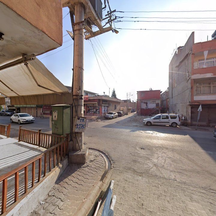 Fotoğraf 6