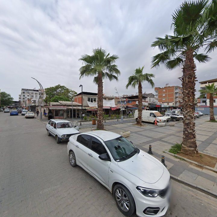 Fotoğraf 8