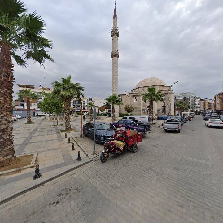 Fotoğraf 9