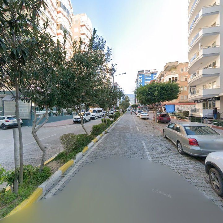 Fotoğraf 7