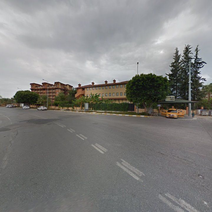 Fotoğraf 11
