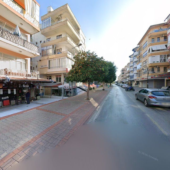 Fotoğraf 11
