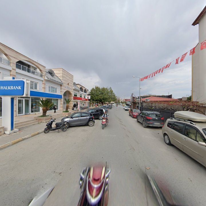 Fotoğraf 11