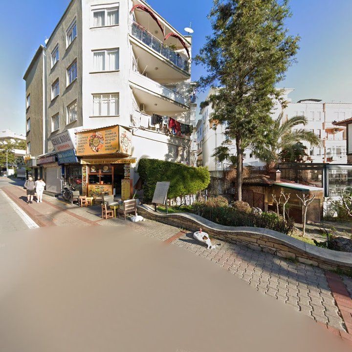 Fotoğraf 9