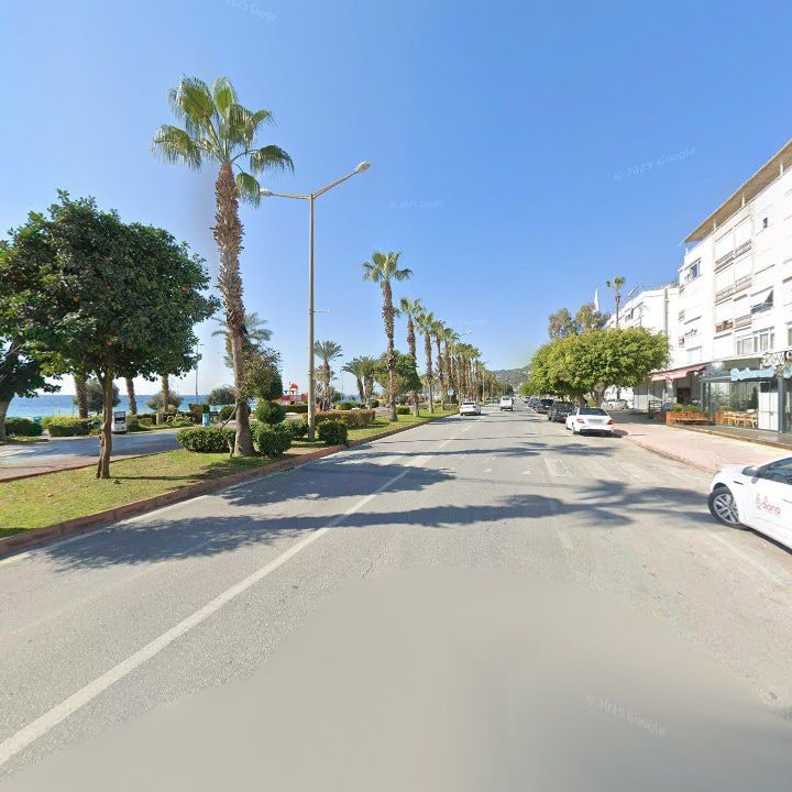 Fotoğraf 11