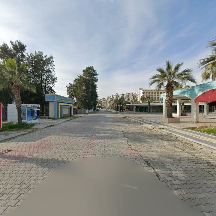 Fotoğraf 7