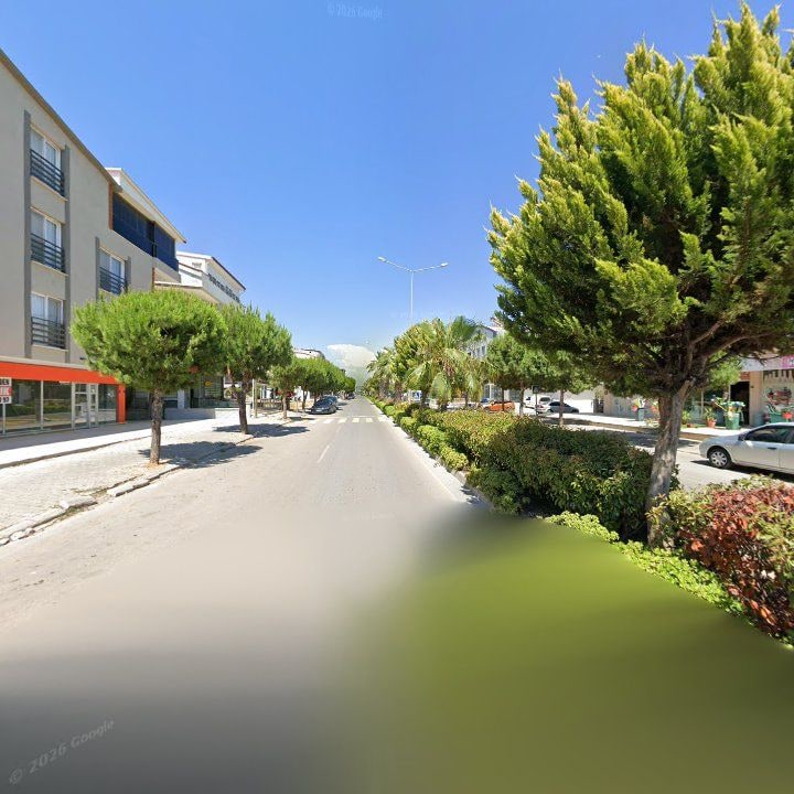 Fotoğraf 11