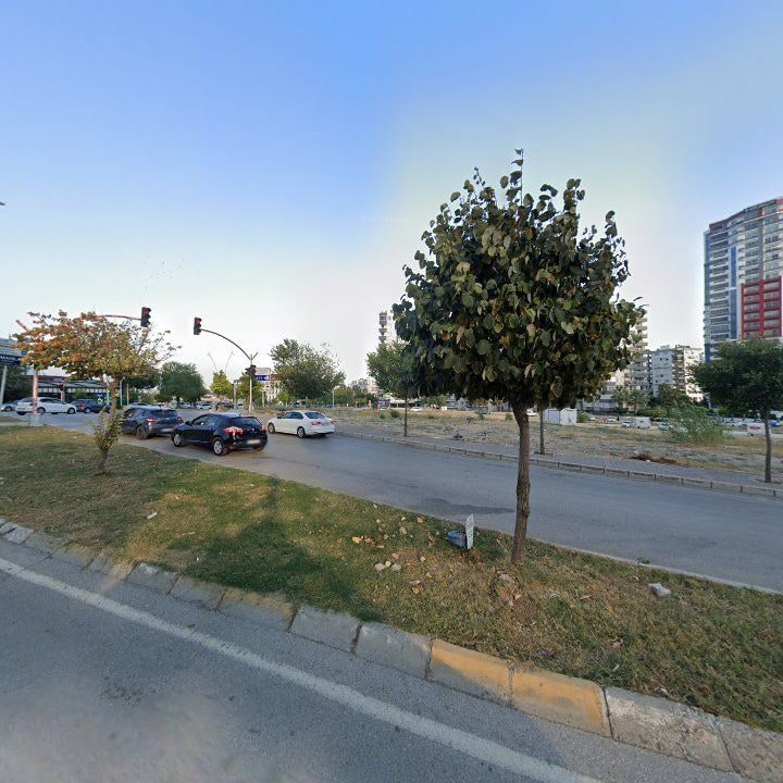 Fotoğraf 7