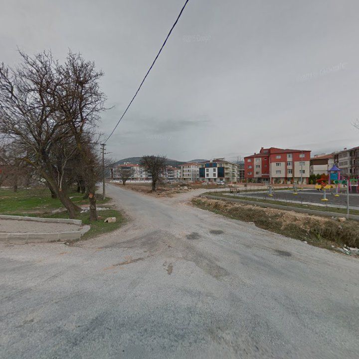 Fotoğraf 11