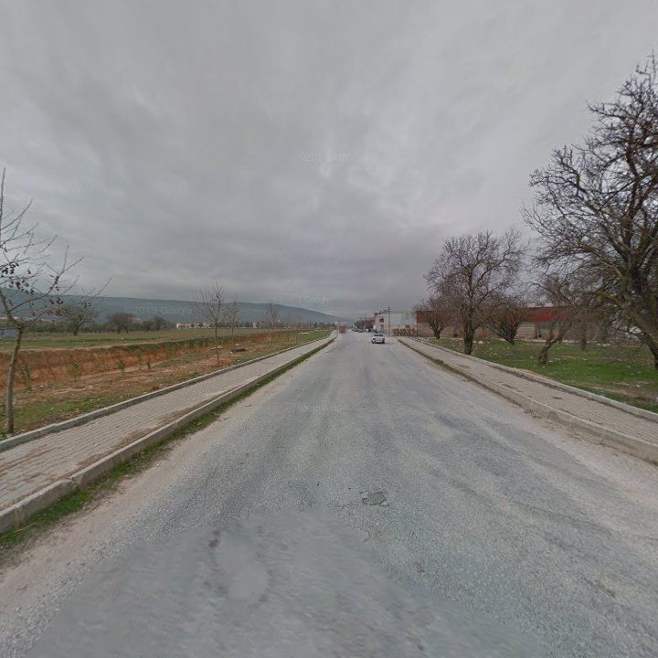 Fotoğraf 10