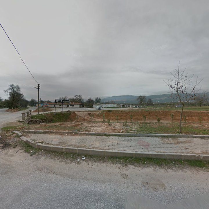 Fotoğraf 9